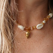 Surtido de entrepiezas de conchas Cauri de 19 a 22 mm - Natural x10