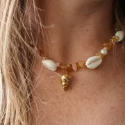 Surtido de entrepiezas de conchas Cauri de 19 a 22 mm - Natural x10