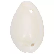 Surtido de entrepiezas de conchas Cauri de 19 a 22 mm - Natural x10