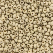 Rocalla Miyuki Duracoat 11/0 4201F - Mat Galvanized Silver x8g