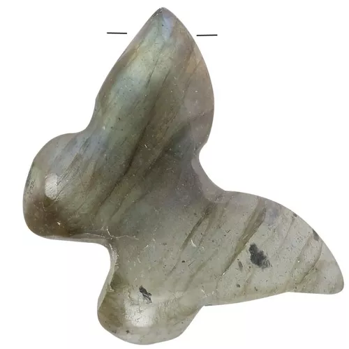 Colgante gema mariposa 13x18 mm - Labradorita x1