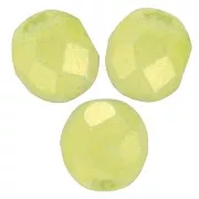Carillas de 2 mm - Pacifica Honeydew x50
