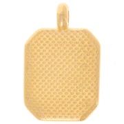 Colgante Rectángulo 19x12mm - Resina epoxi - Dorado con oro fino - Rosa - Salmón x1