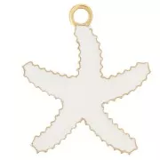 Dije Estrella de Mar 12x10 mm - resina epoxi Acero inoxidable 316L Dorado - Blanco x1