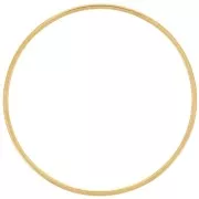 Anillas circulares de montaje y tejido de 30 mm - Acero inoxidable dorado 304L x10