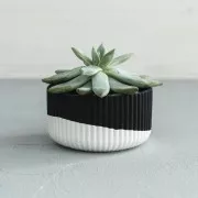 Raysin 250 - Polvo cerámico negro para moldeo - Ultra strong x1kg