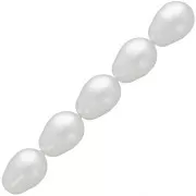 PureCrystal Pearls 5821 11x8 mm - Crystal Moonlight Pearl x5