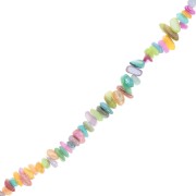 Chips 5-9 mm Concha manchada - Pastel multicolor x 80 cm|raw }}