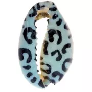 Cauri concha 18-23 mm estampado leopardo - Azul claro - Negro x1