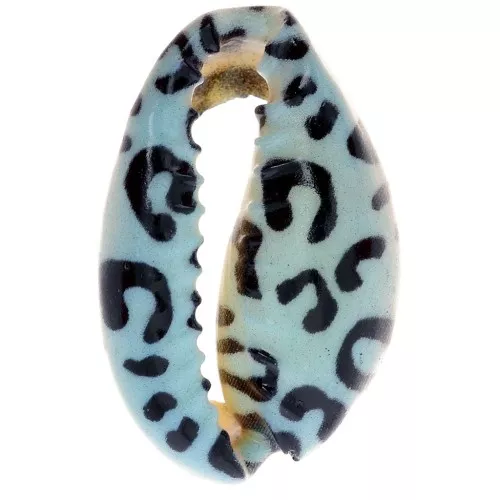 Cauri concha 18-23 mm estampado leopardo - Azul claro - Negro x1