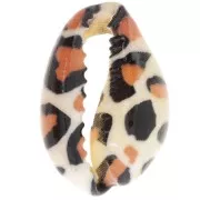 Cauri concha 18-23 mm estampado leopardo - Crudo - Caramelo - Negro x1