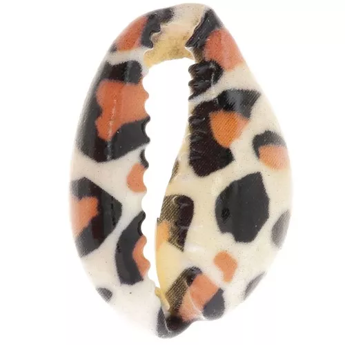 Cauri concha 18-23 mm estampado leopardo - Crudo - Caramelo - Negro x1