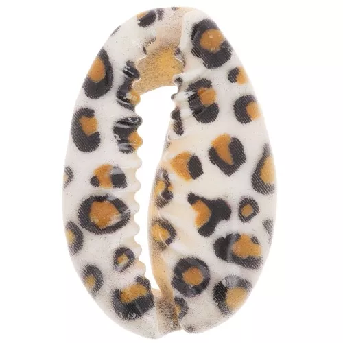 Cauri concha 18-23 mm estampado leopardo - Marrón claro - Crudo - Negro x1