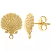 Pendientes de concha de 13x10,5 mm con aro cerrado - Dorado con oro fino x2