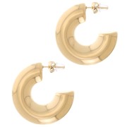 Aros redondas de 31 mm de grosor - Acero inoxidable 316L dorado x2|raw }}