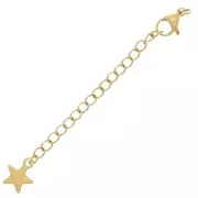 Cierres mosquetón de 10 mm con cadena de extensión y estrella, acero inoxidable 304 Dorado x10