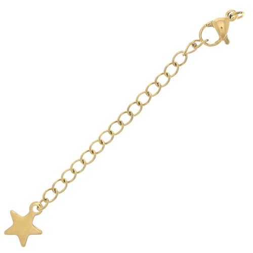 Cierres mosquetón de 10 mm con cadena de extensión y estrella, acero inoxidable 304 Dorado x10