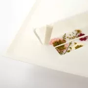 Kit de velas DIY Graine Créative - Prairie Fleurie x1