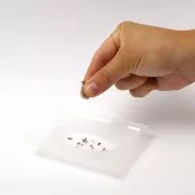 Kit de jabón Graine Créative - Kit de jabón de lavanda x1