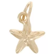 Estrella de mar con anilla cerrada 9x8 mm - Chapado de oro 3 micras x1