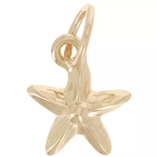 Estrella de mar con anilla cerrada 9x8 mm - Chapado de oro 3 micras x1