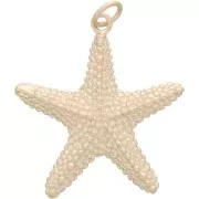 Colgante estrella de mar con anilla cerrada 28x26mm Chapado de oro 3 micras Mate x1