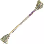 Hilo de bordar DMC Mouliné Color Variations - Grass (4065) x8m