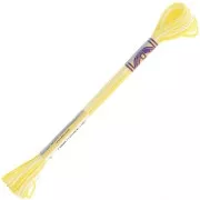 Hilo de bordar DMC Mouliné Color Variations - Lemonade (4077) x8m