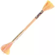 Hilo de bordar DMC Mouliné Color Variations - Ruibarbo y natillas (4100) x8m