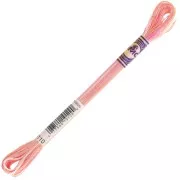 Hilo de bordar DMC Mouliné Color Variations - Powderpuff (4110) x8m
