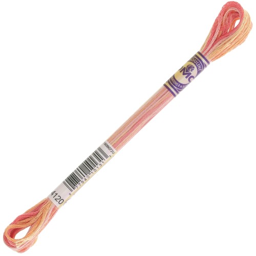 Hilo de bordar DMC Mouliné Color Variations - Ensalada de frutas (4120) x8m