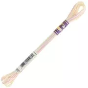 Hilo de bordar DMC Mouliné Color Variations - Tarta de cumpleaños (4160) x8m