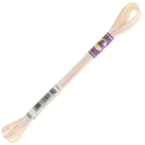 Hilo de bordar DMC Mouliné Color Variations - Tarta de cumpleaños (4160) x8m