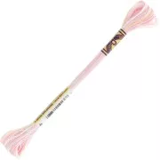 Hilo de bordar DMC Mouliné Color Variations - Sugar Mouse (4170) x8m