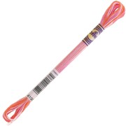 Hilo de bordar DMC Mouliné Color Variations - Sprinkling (4190) x8m|raw }}