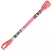 Hilo de bordar DMC Mouliné Color Variations - Sprinkling (4190) x8m