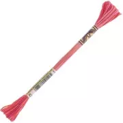 Hilo de bordar DMC Mouliné Color Variations - Valentine's Day (4200) x8m