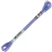 Hilo de bordar DMC Mouliné Color Variations - Cola de Unicornio (4215) x8m