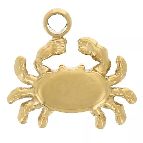 Colgante cangrejo 8x8,5 mm Acero inoxidable 304L Dorado x1