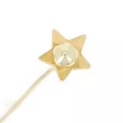 Clavos cabeza de flor 50x0,5 mm - Oro x10