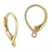 Ganchos pendientes de 16 mm - Dorado con oro fino x2