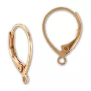 Ganchos pendientes de 16 mm - Dorado rosas x2