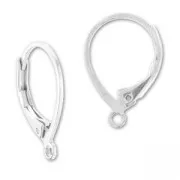 Ganchos pendientes de 16 mm - Plateados x2