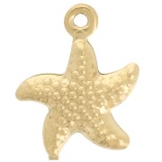 Estrella de mar 14x12 mm acero inoxidable 304L - Dorado x1|raw }}