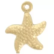 Estrella de mar 14x12 mm acero inoxidable 304L - Dorado x1
