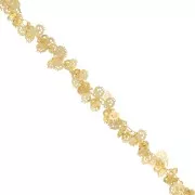 Cadena calavera 7 mm dorado x 25cm