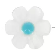 Perla flor de nácar de 12 mm - Blanca - Azul x1