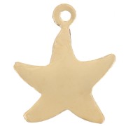 Colgante estrella de mar 14x12 mm - Gold filled (Oro laminado) x1|raw }}