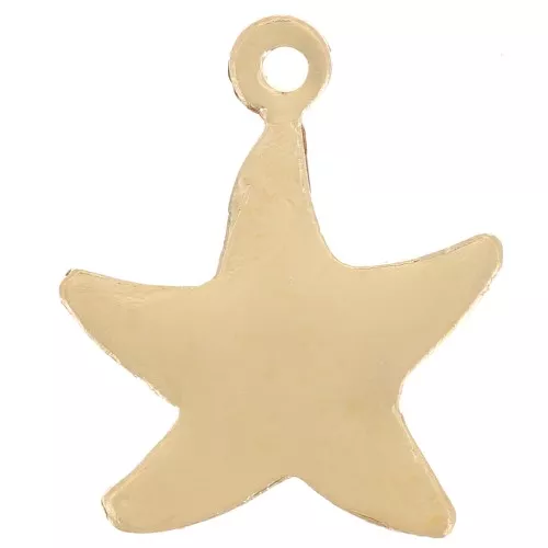 Colgante estrella de mar 14x12 mm - Gold filled (Oro laminado) x1