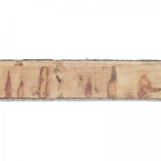 Cordón plano 5 mm Corcho Natural x30cm|raw }}